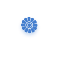 shape